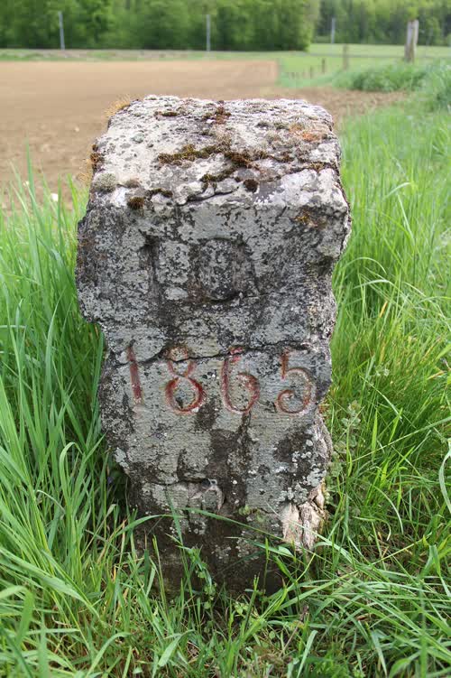 Borne 38