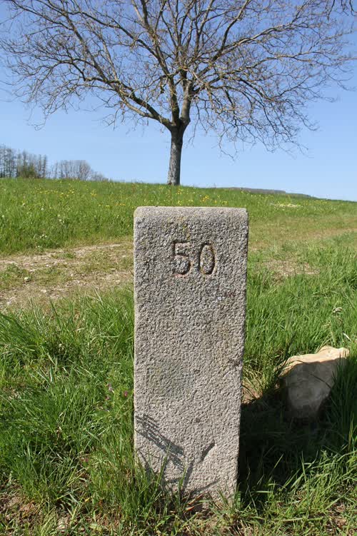 Marker 50