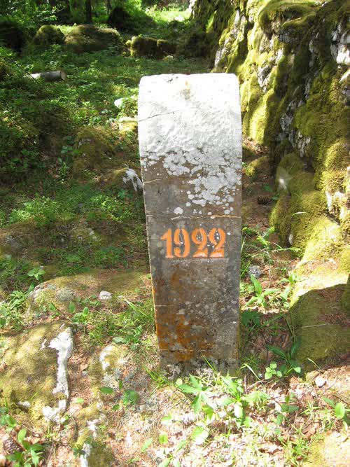 Borne 196