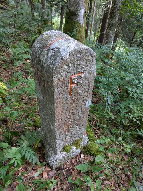 Grzst. 207.C