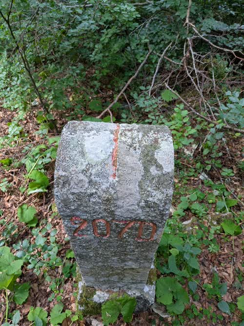 Grzst. 207.D