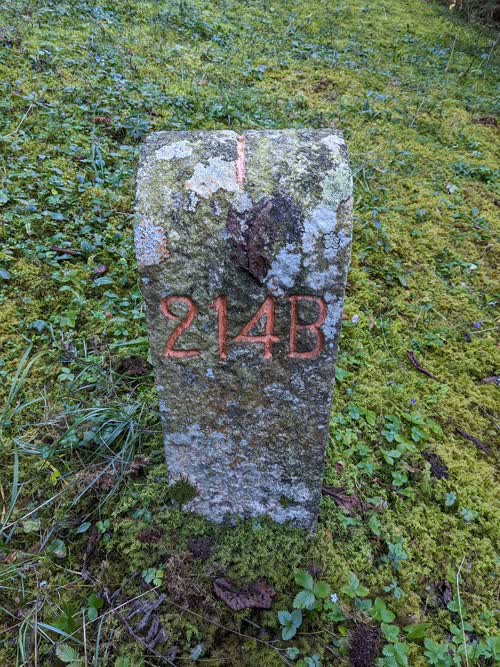 Grzst. 214.B