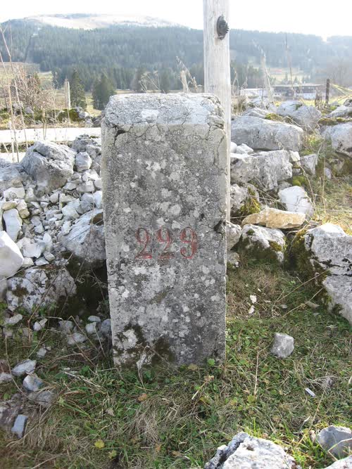 Marker 229