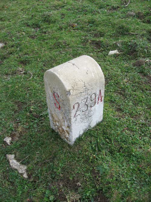 Marker 239.A