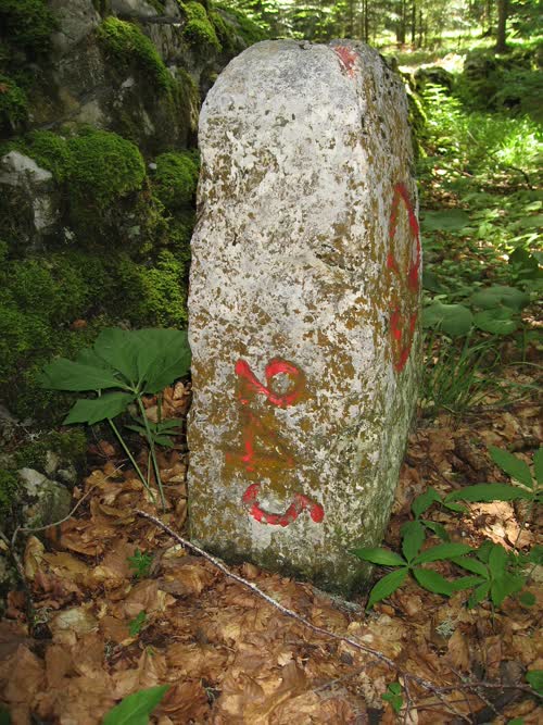 Grzst. 245