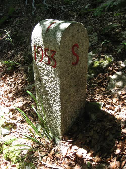 Marker 254
