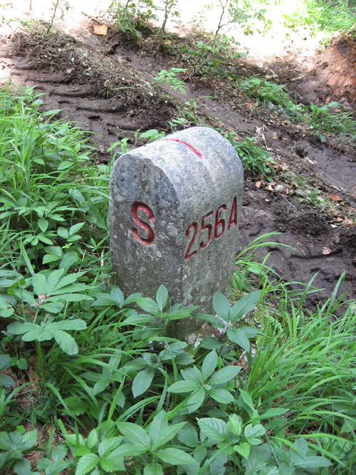 Marker 256.A