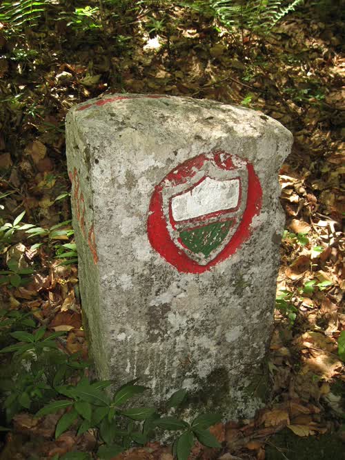 Grzst. 263