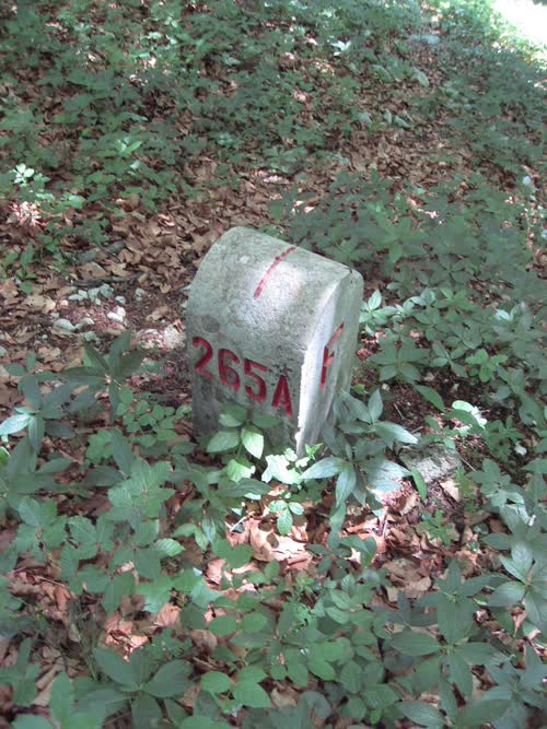 Grzst. 265.A