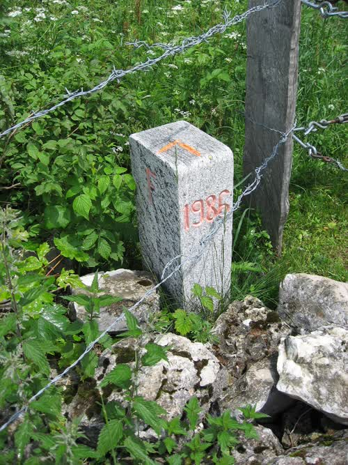 Borne 37