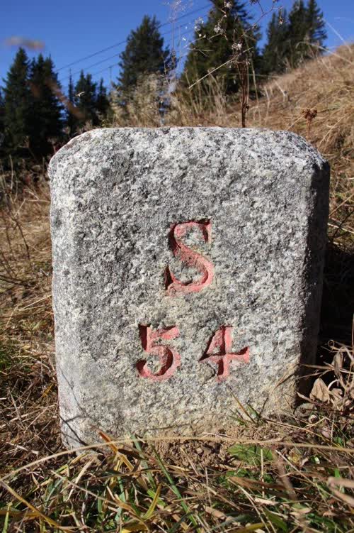 Borne 54