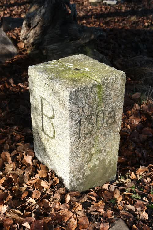 Borne 130a