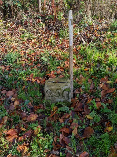 Grzst. 25a