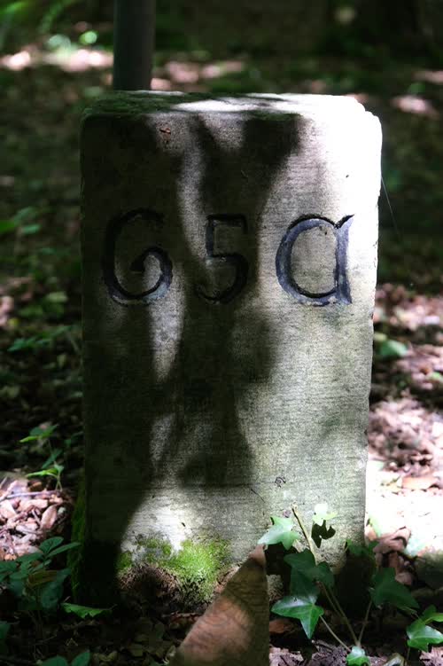 Borne 65a