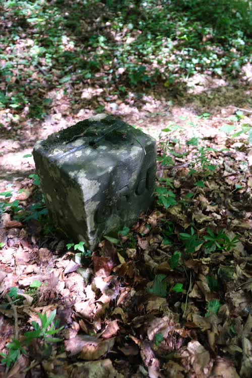 Marker 65d