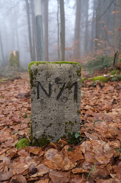 Borne 71