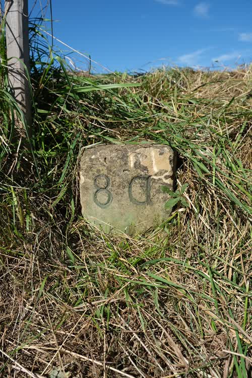 Grzst. 8a
